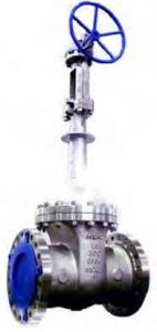 Cryogenic Valve